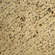 Trinocular Metallurgical Microscope