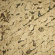 Trinocular Metallurgical Microscope